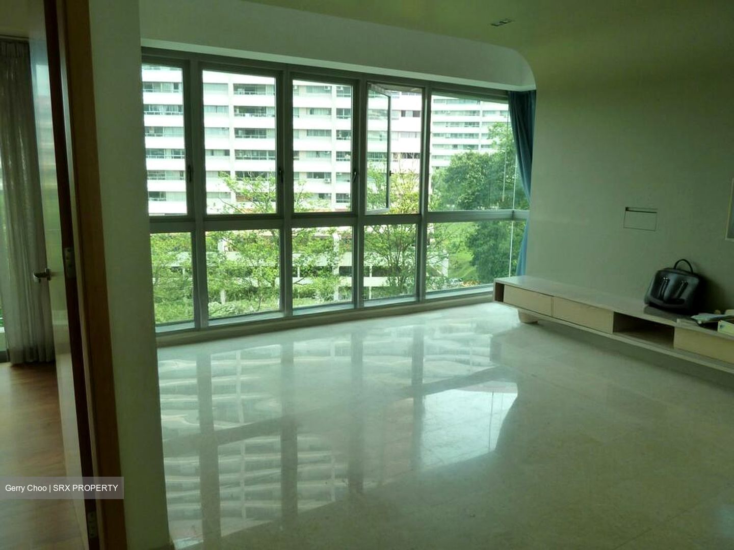 The Serenade @ Holland (D10), Condominium #520444581